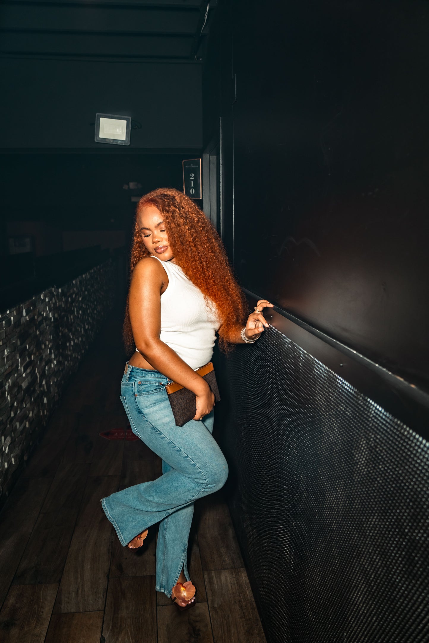 Burmese Curly