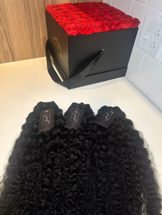 Burmese Curly